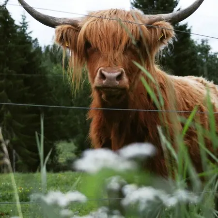 Vakantieboerderij Suopirtti Konnevesi