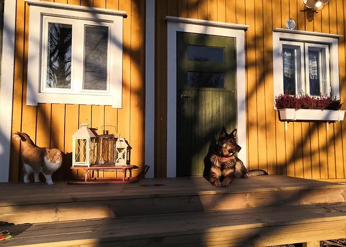 Suopirtti ファームステイ *